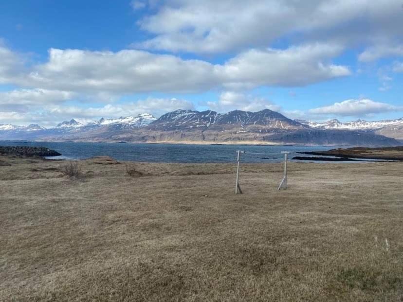 Amazing View Over The Ocean And Mountains Djúpivogur Exteriör bild
